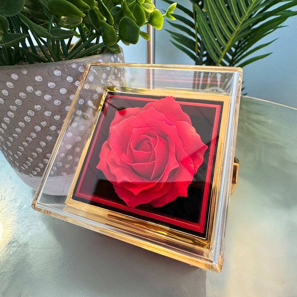 To My Beautiful Wife Rotating Rose Message Card Necklace